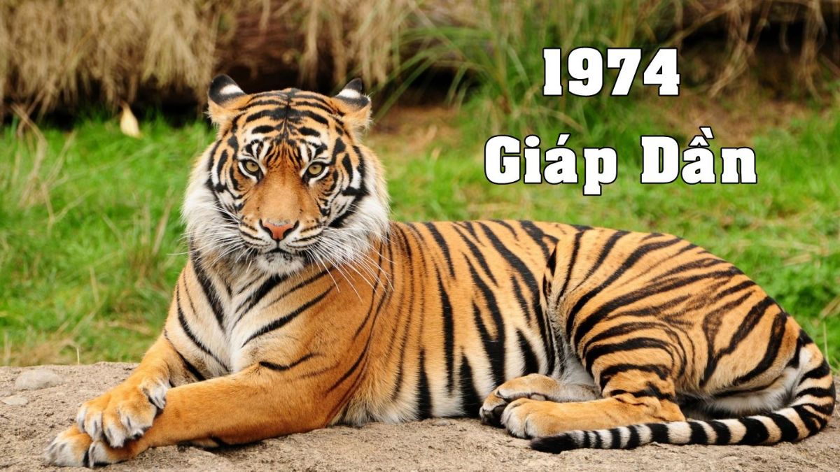 Sinh năm 1974 mệnh gì?