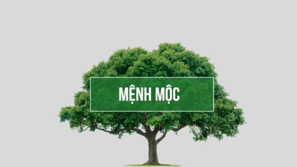 Sinh năm 2019 hợp màu gì?