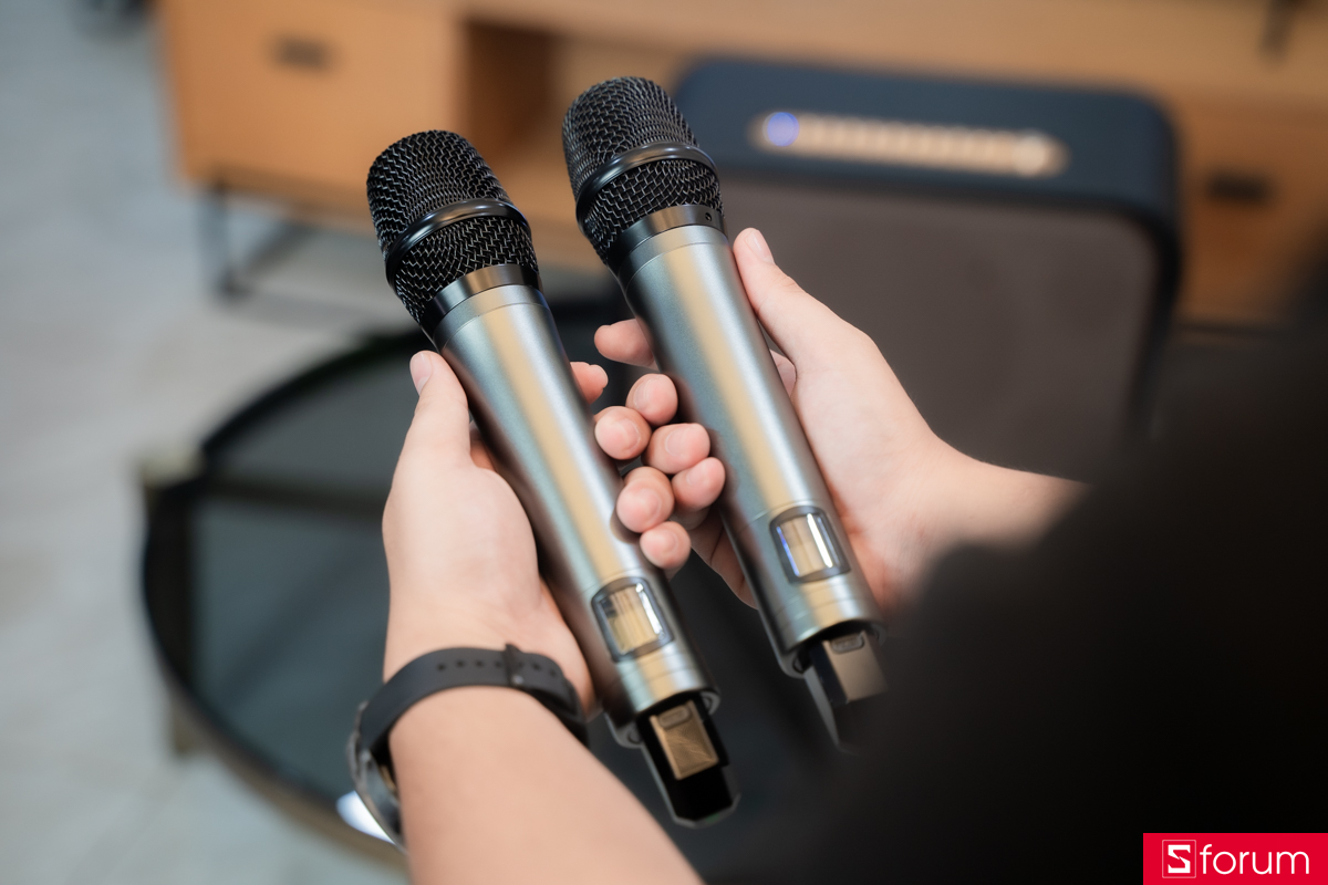 2 microphone của loa ACNOS Acoustic 3S