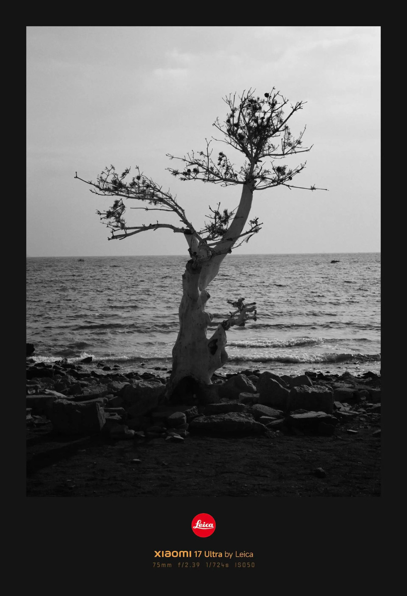 Ảnh chụp từ Xiaomi 17 Ultra Leica Edition