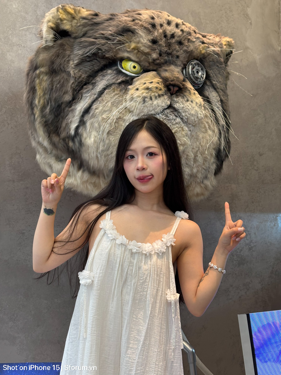 Đánh giá chất lượng camera của iPhone 15 ở năm 2026 với ảnh thiếu sáng