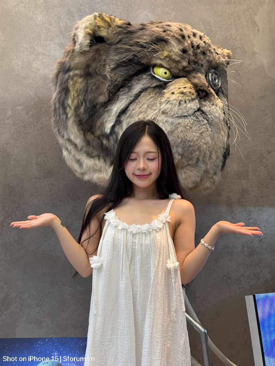 Đánh giá chất lượng camera của iPhone 15 ở năm 2026 với ảnh thiếu sáng