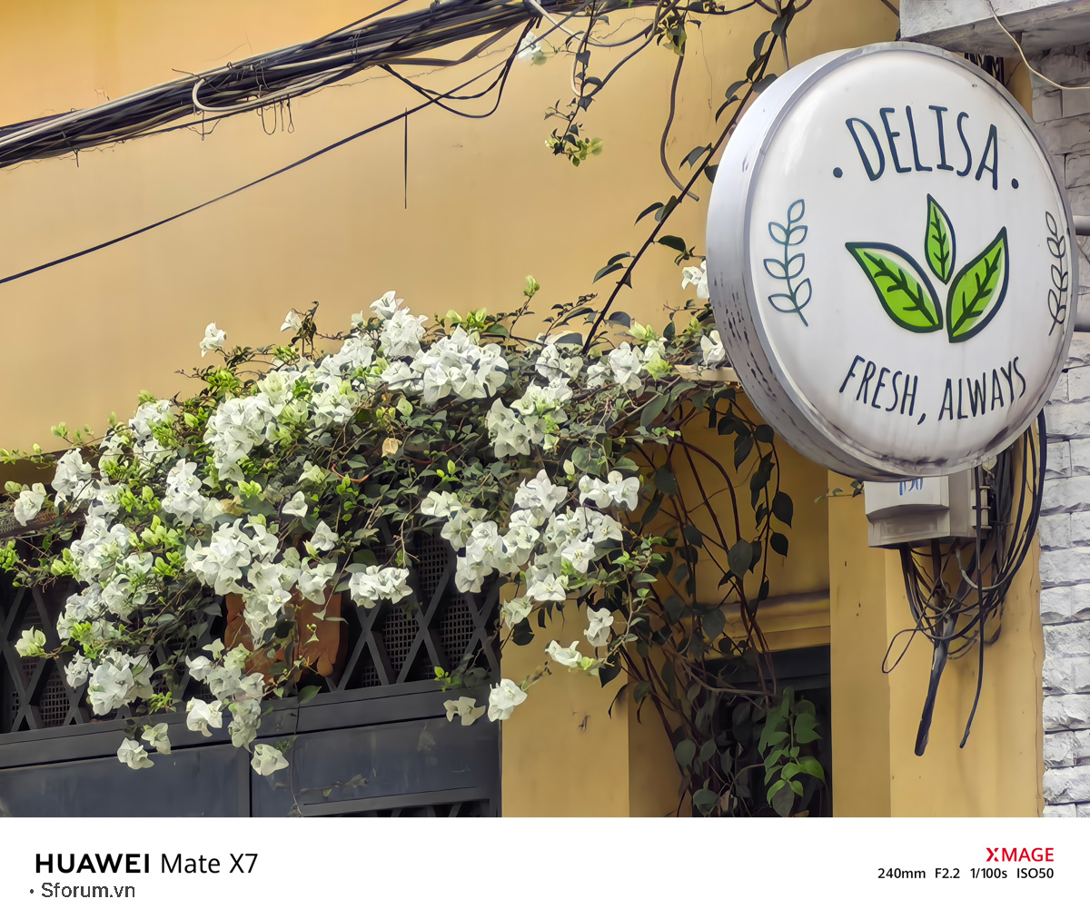 Đánh giá chất lượng camera của HUAWEI Mate X7 trong điều kiện đủ sáng