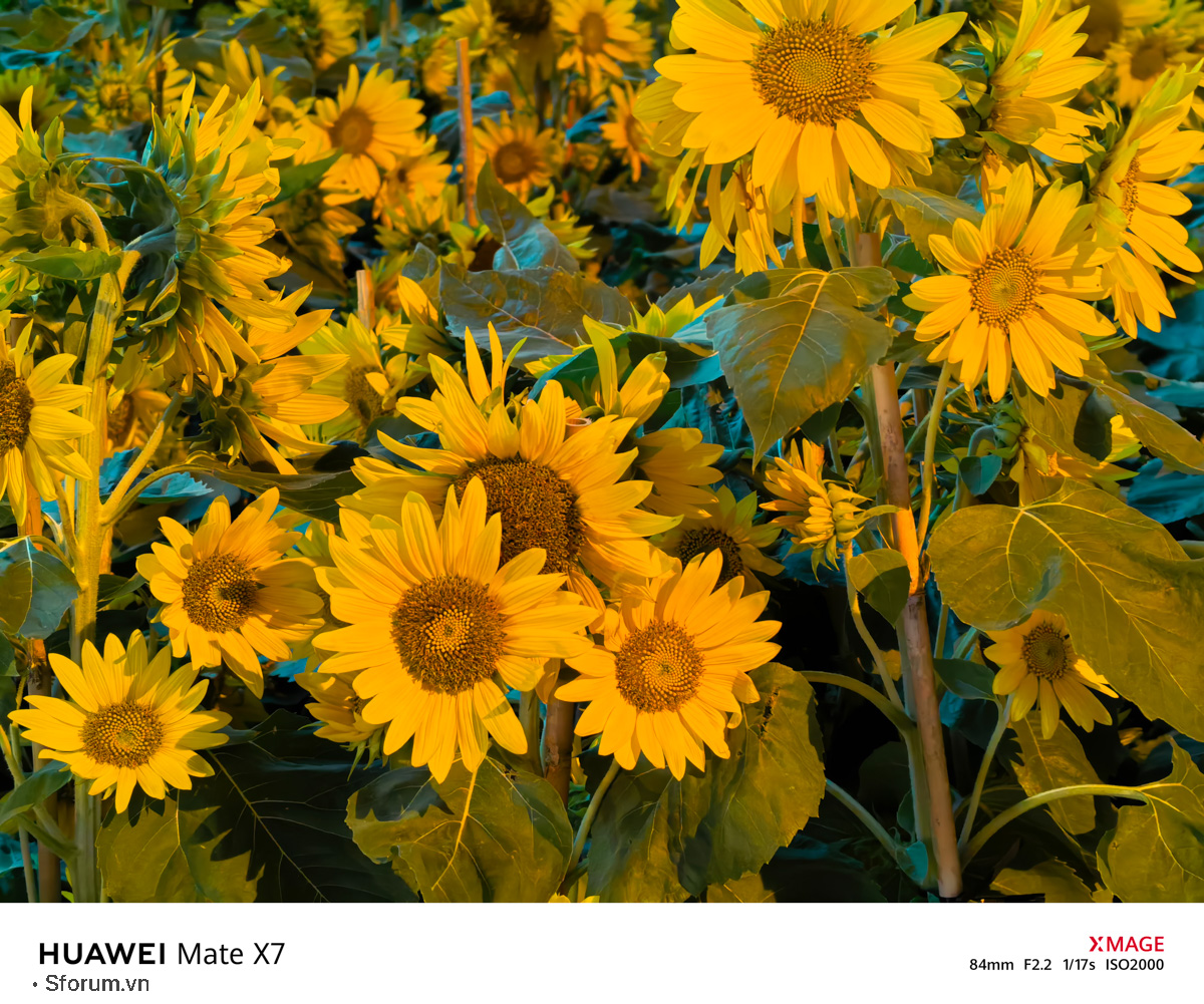 Đánh giá chất lượng camera của HUAWEI Mate X7 trong điều kiện thiếu sáng