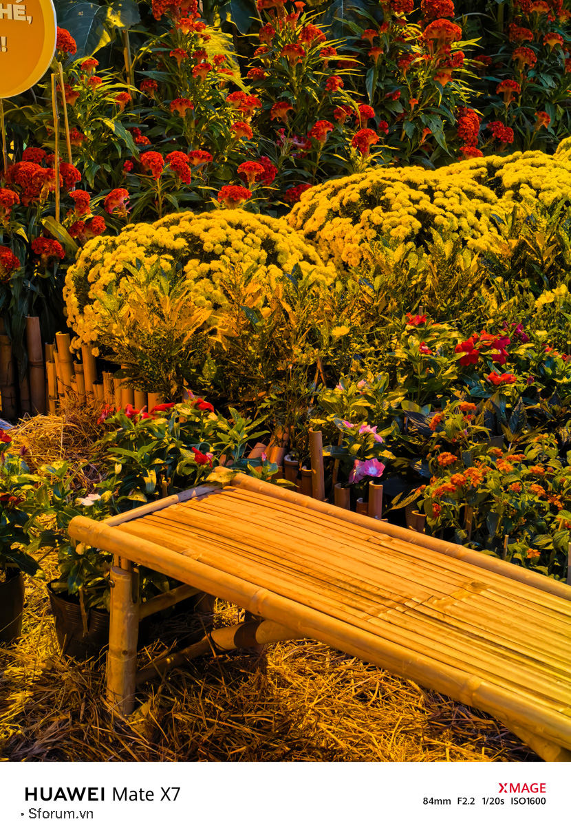 Đánh giá chất lượng camera của HUAWEI Mate X7 trong điều kiện thiếu sáng