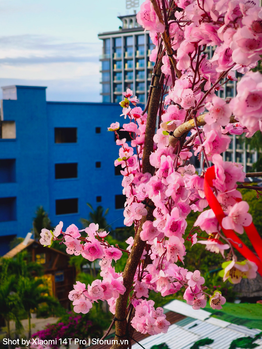 Đánh giá chất lượng camera của Xiaomi 14T Pro trong năm 2026