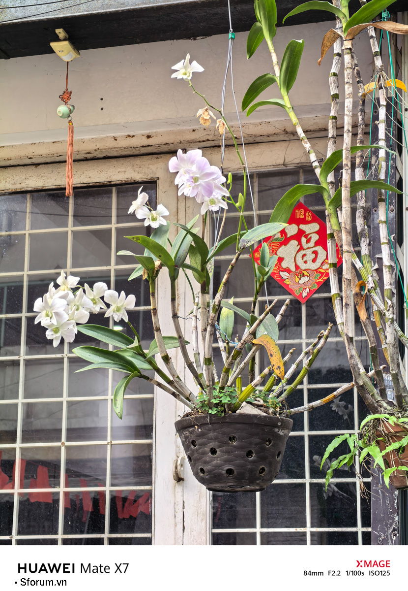 Sài Gòn trước thềm Tết Bính Ngọ qua lăng kính của HUAWEI Mate X7