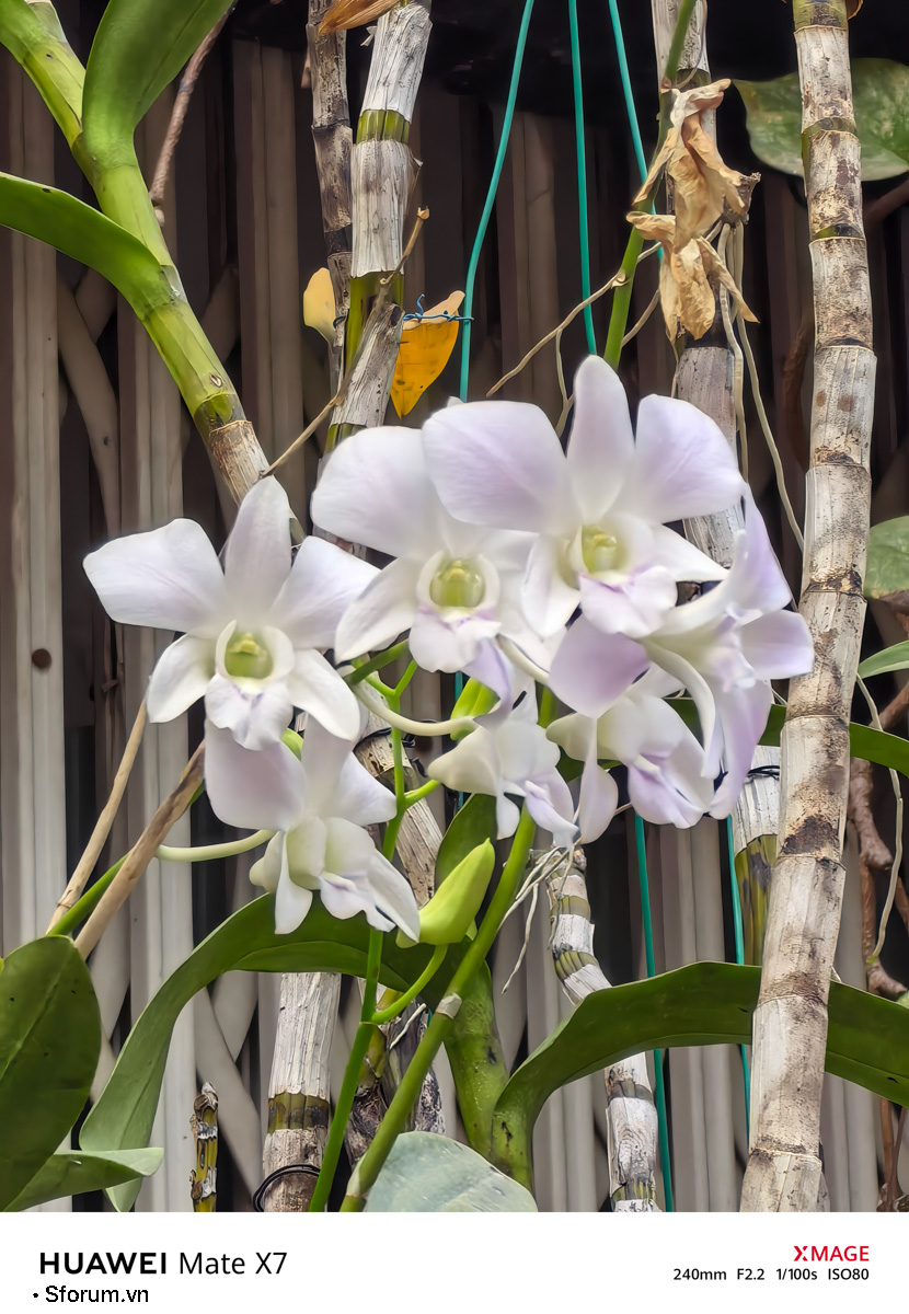 Sài Gòn trước thềm Tết Bính Ngọ qua lăng kính của HUAWEI Mate X7