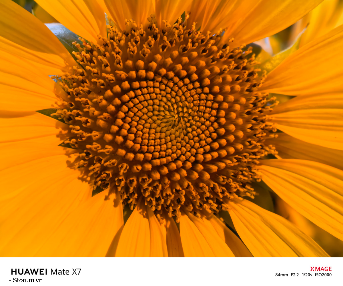 Sài Gòn trước thềm Tết Bính Ngọ qua lăng kính của HUAWEI Mate X7