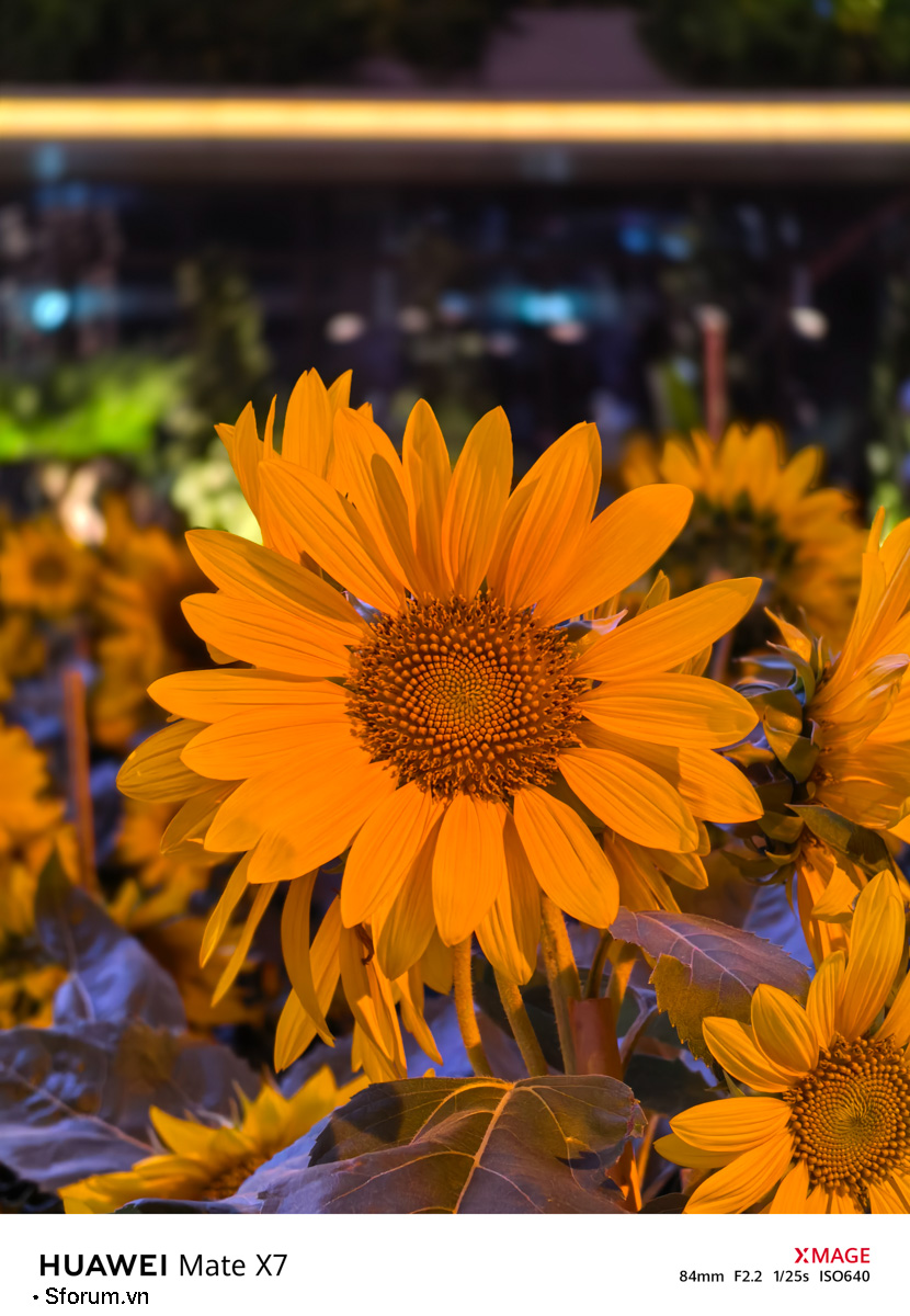 Sài Gòn trước thềm Tết Bính Ngọ qua lăng kính của HUAWEI Mate X7