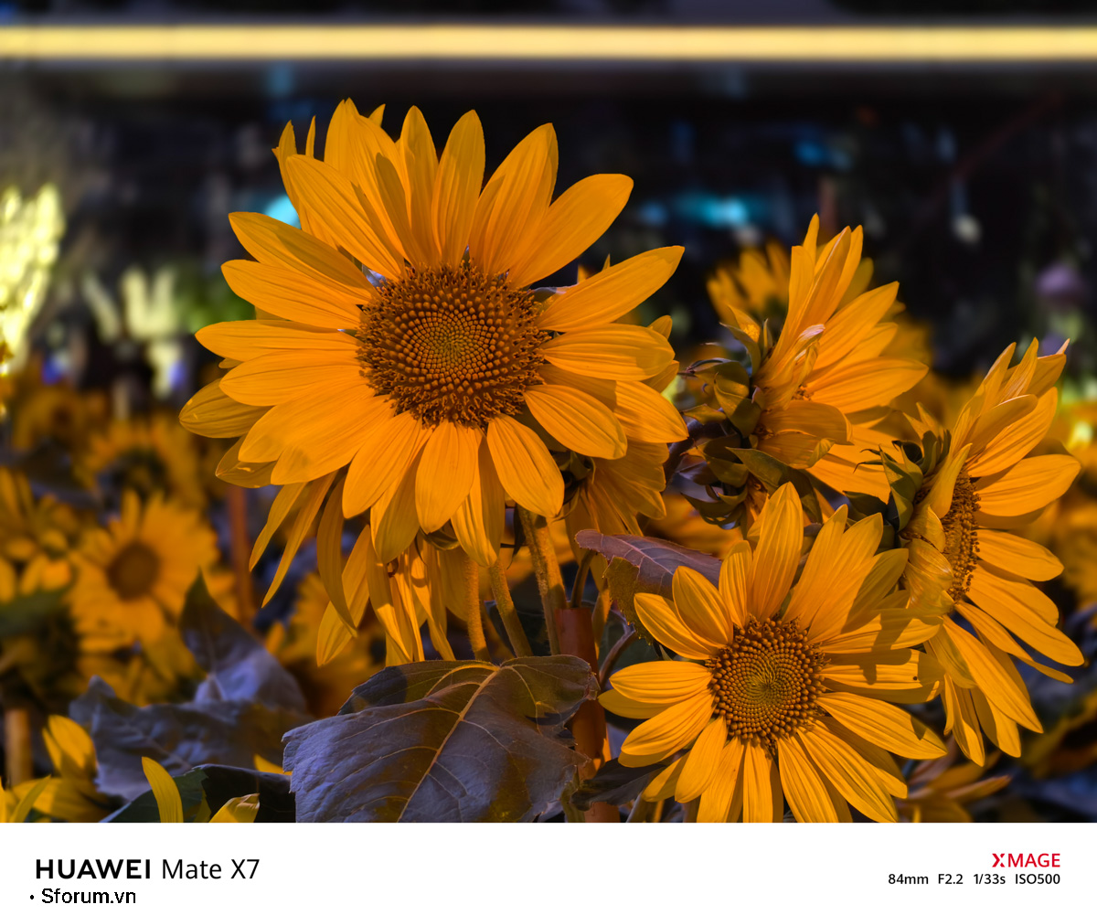 Sài Gòn trước thềm Tết Bính Ngọ qua lăng kính của HUAWEI Mate X7