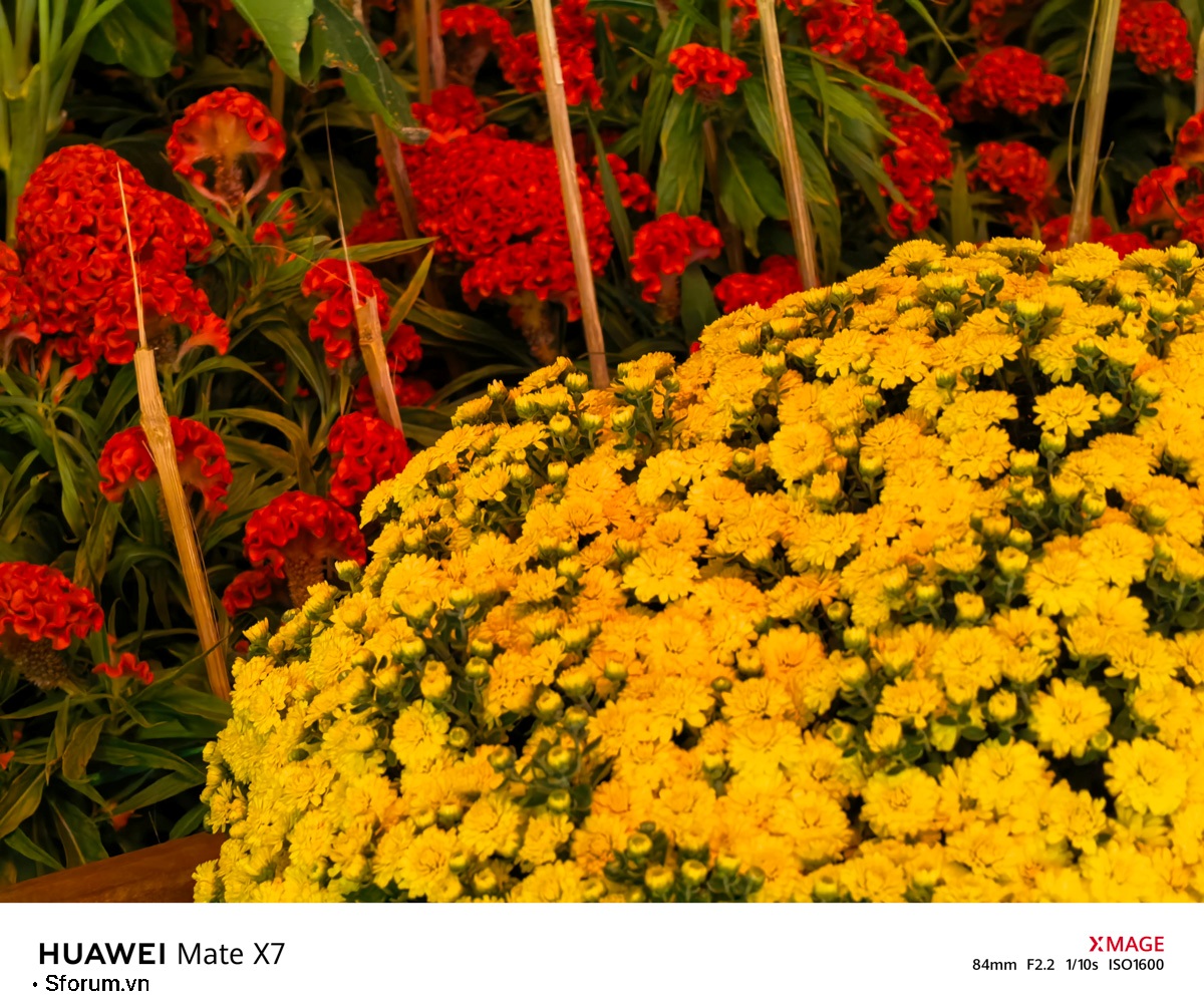 Sài Gòn trước thềm Tết Bính Ngọ qua lăng kính của HUAWEI Mate X7