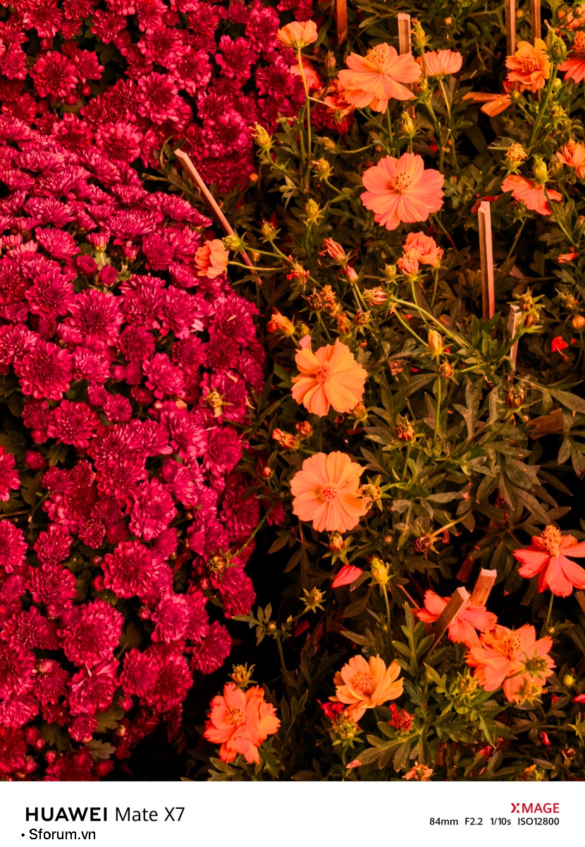 Sài Gòn trước thềm Tết Bính Ngọ qua lăng kính của HUAWEI Mate X7