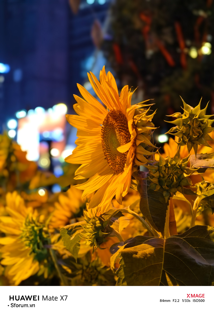 Sài Gòn trước thềm Tết Bính Ngọ qua lăng kính của HUAWEI Mate X7