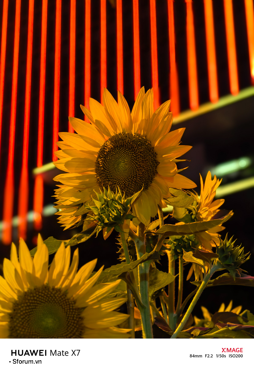 Sài Gòn trước thềm Tết Bính Ngọ qua lăng kính của HUAWEI Mate X7