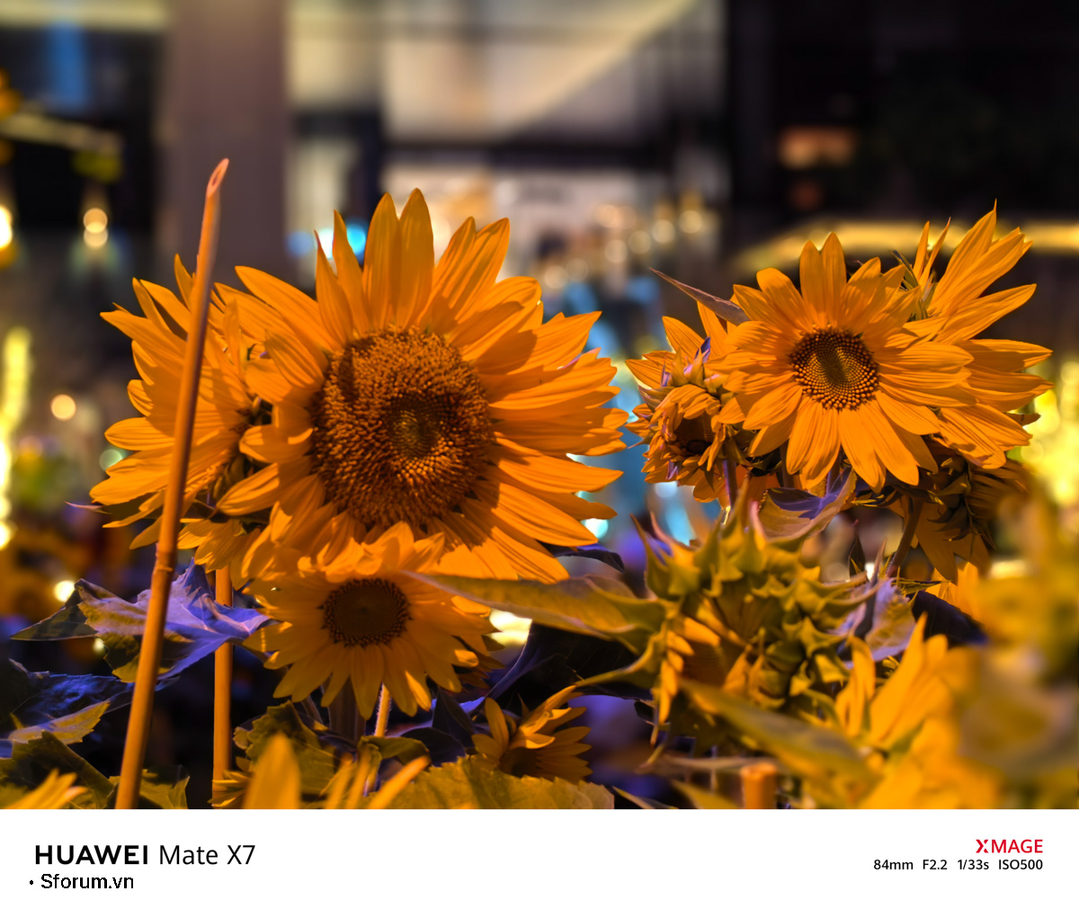 Sài Gòn trước thềm Tết Bính Ngọ qua lăng kính của HUAWEI Mate X7