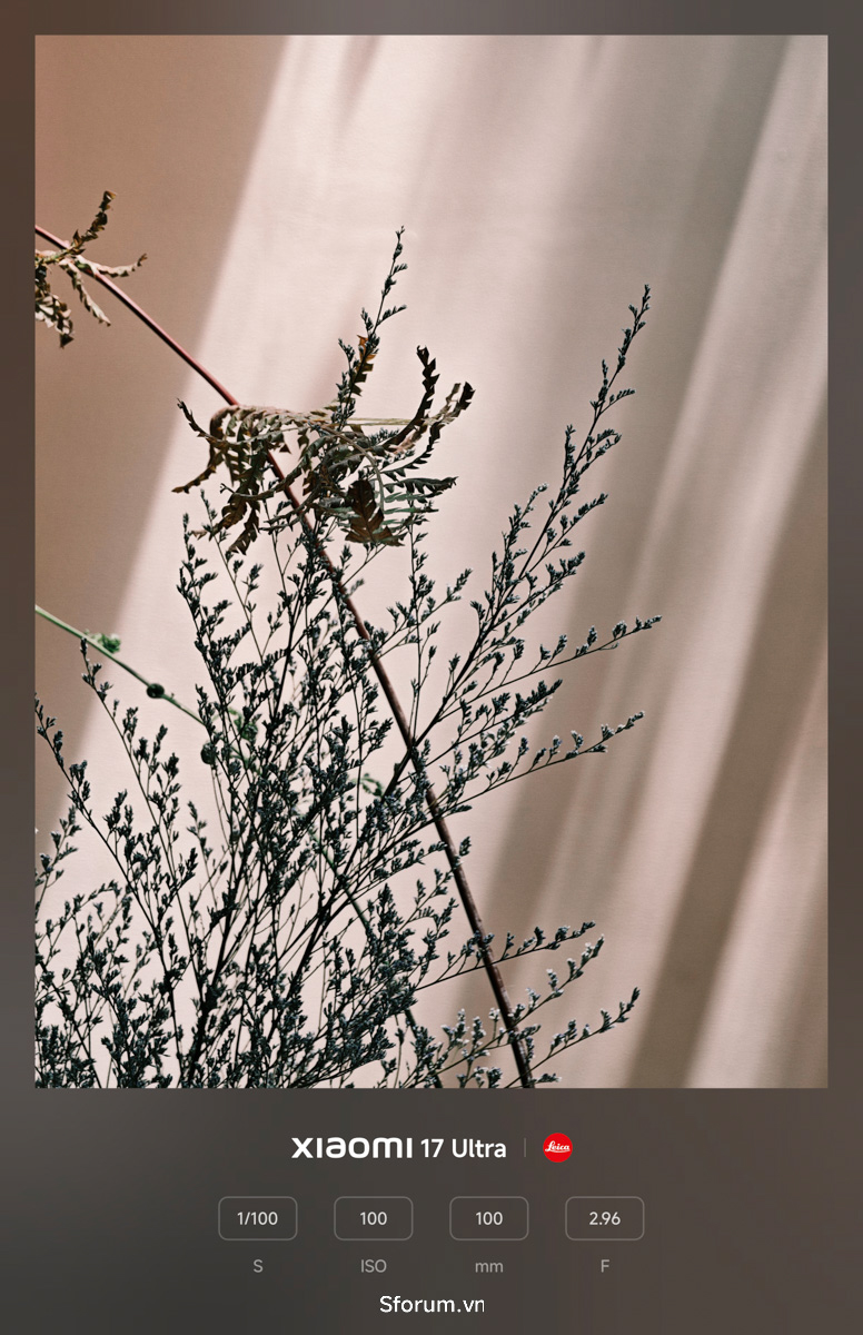 Bộ ảnh từ camera zoom liên tục 200MP của Xiaomi 17 Ultra