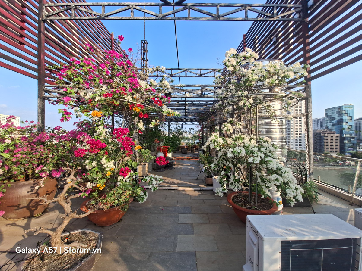 Đánh giá camera Samsung Galaxy A57 5G trong điều kiện đủ sáng