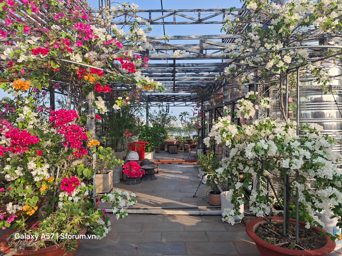 Đánh giá camera Samsung Galaxy A57 5G trong điều kiện đủ sáng