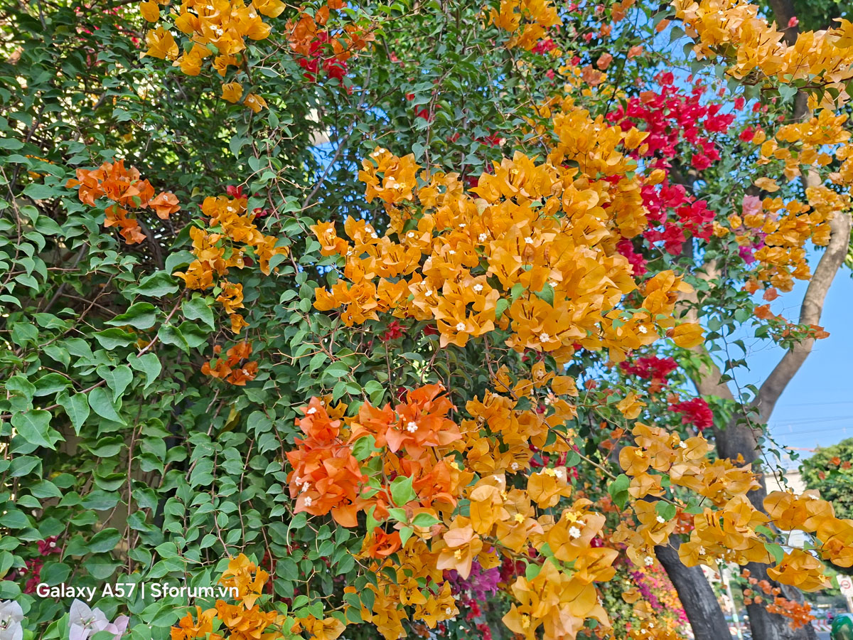 Đánh giá camera Samsung Galaxy A57 5G trong điều kiện đủ sáng