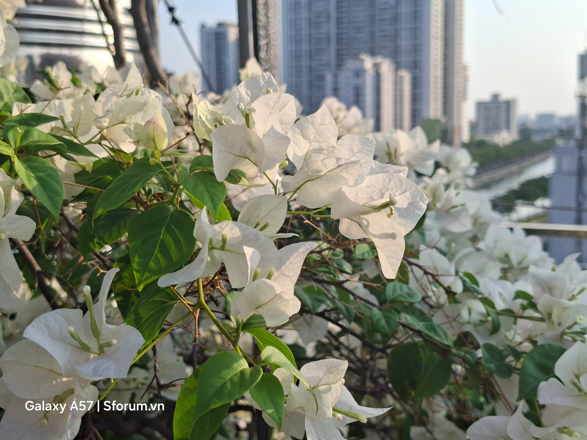 Đánh giá camera Samsung Galaxy A57 5G trong điều kiện đủ sáng