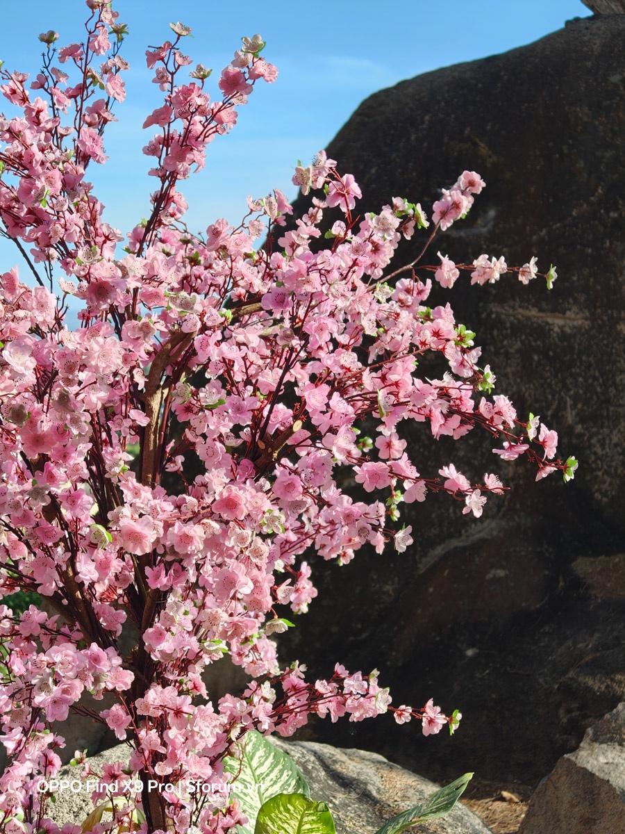 Đánh giá OPPO Find X9 Pro sau gần nửa năm ra mắt