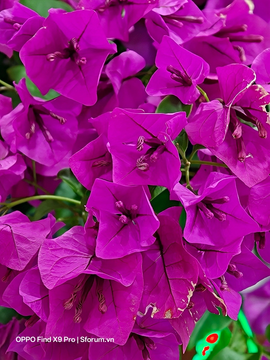 Đánh giá OPPO Find X9 Pro sau gần nửa năm ra mắt