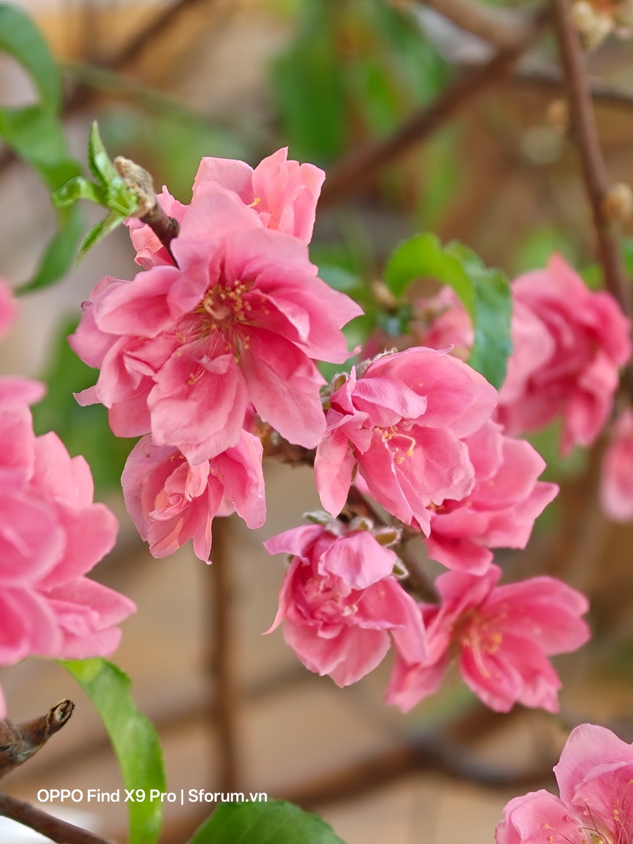 Đánh giá OPPO Find X9 Pro sau gần nửa năm ra mắt