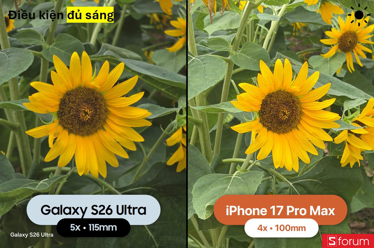 So sánh camera Galaxy S26 Ultra và iPhone 17 Pro Max trong điều kiện đủ sáng