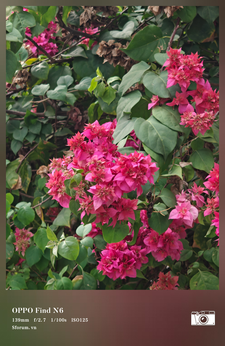 Test nhanh camera OPPO Find N6