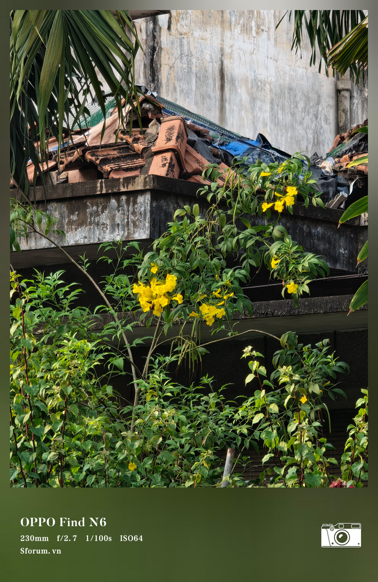 Test nhanh camera OPPO Find N6