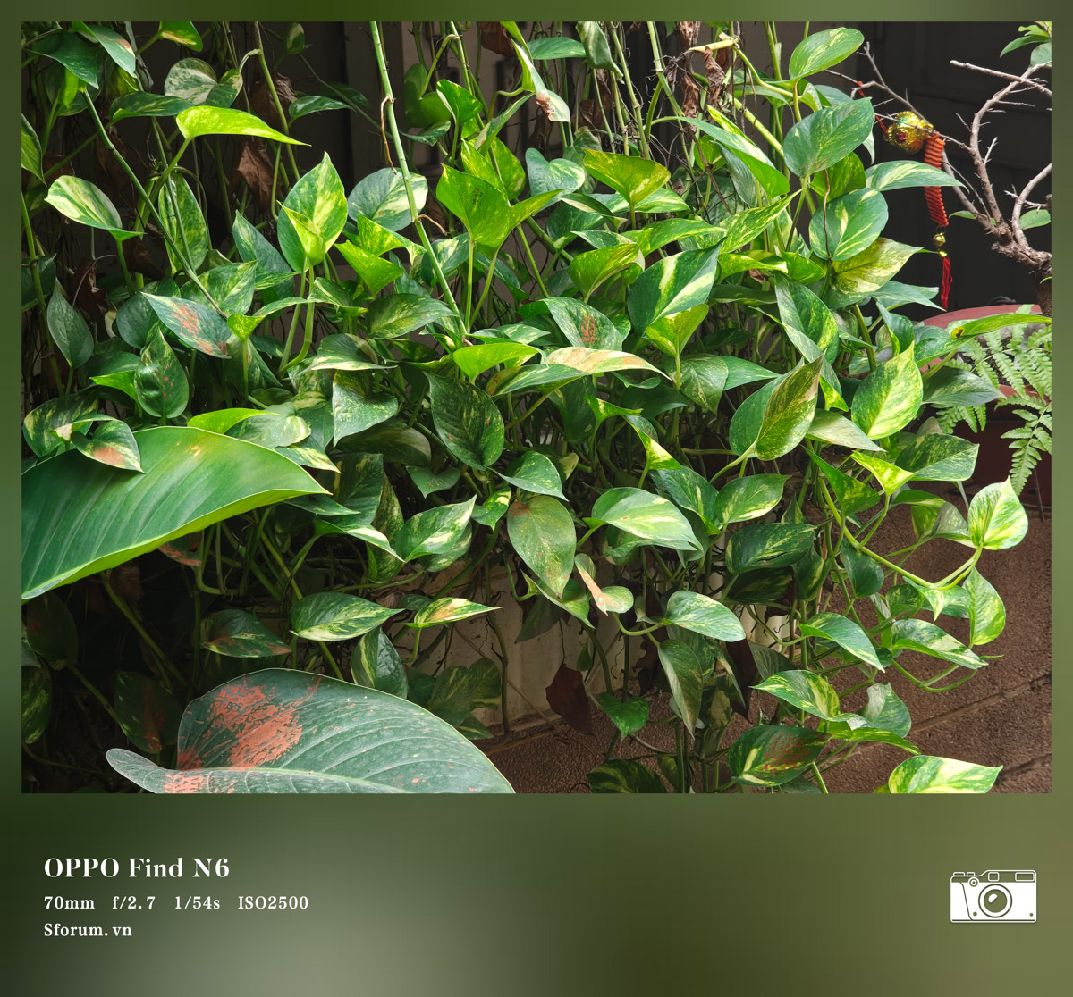 Test nhanh camera OPPO Find N6