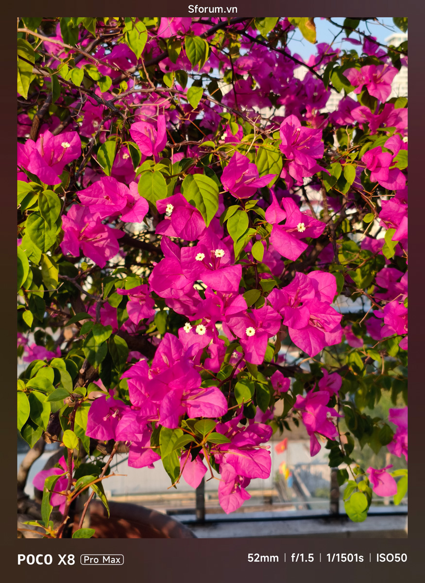 Trải nghiệm nhanh camera của Xiaomi POCO X8 Pro