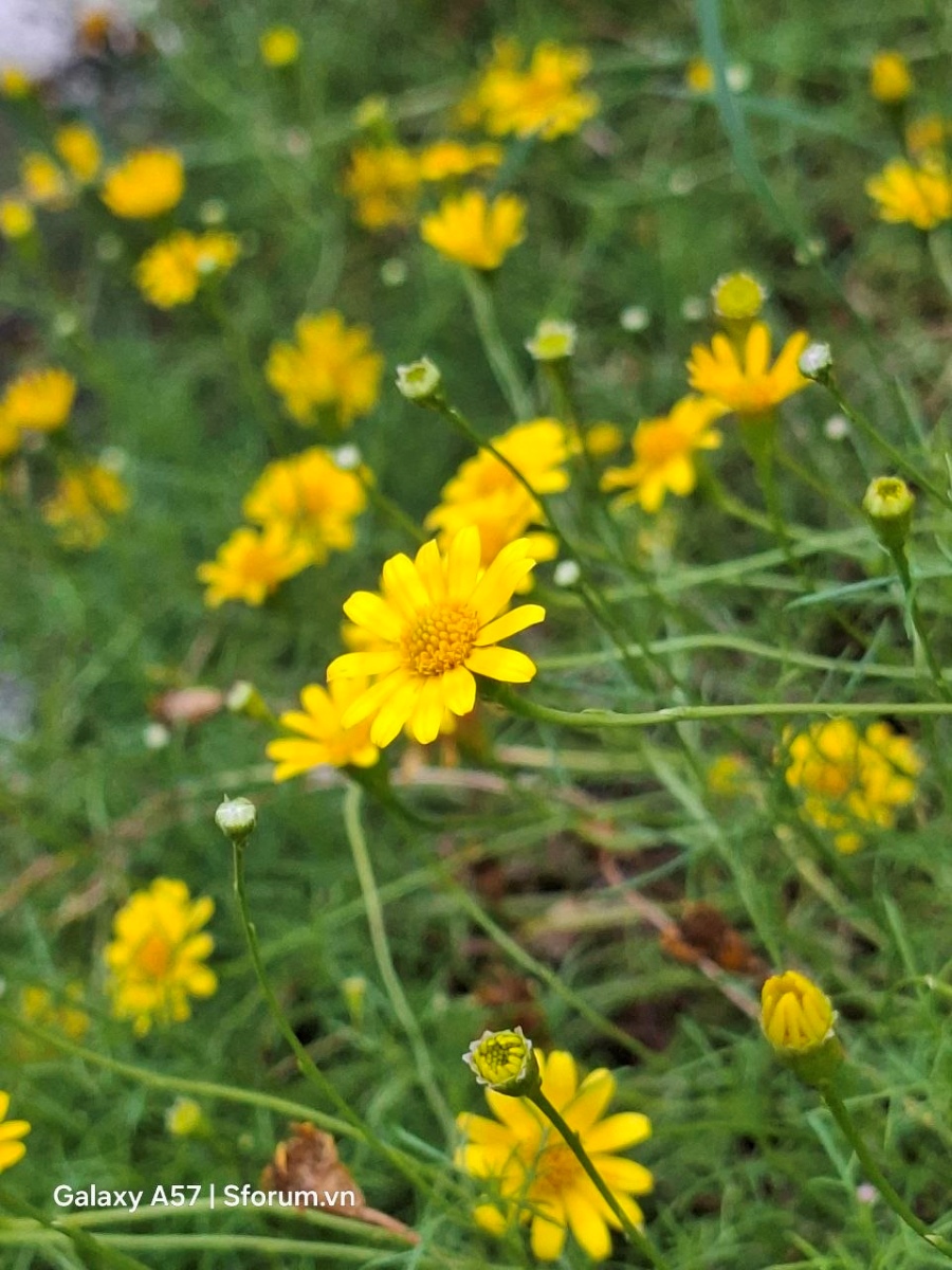 Trên tay và khám phá camera của Samsung Galaxy A57