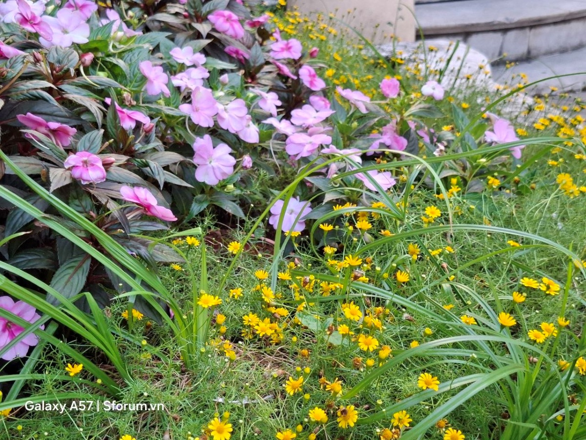 Trên tay và khám phá camera của Samsung Galaxy A57