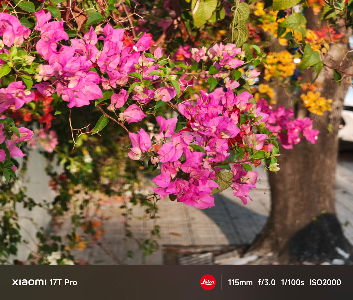 Đánh giá camera Xiaomi 17T Pro trong điều kiện đủ sáng