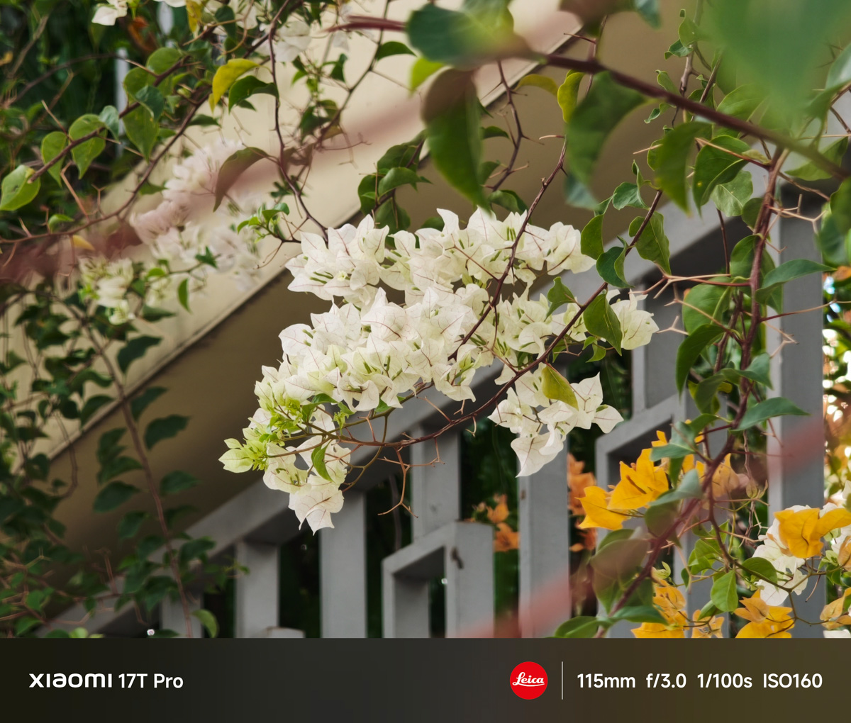 Đánh giá camera Xiaomi 17T Pro trong điều kiện đủ sáng