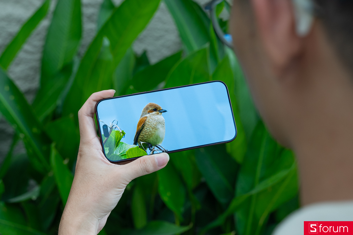 Đánh giá màn hình iPhone 18 Pro Max