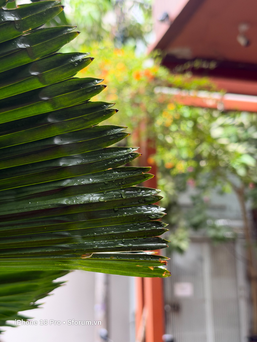 Đánh giá camera iPhone 18 Pro