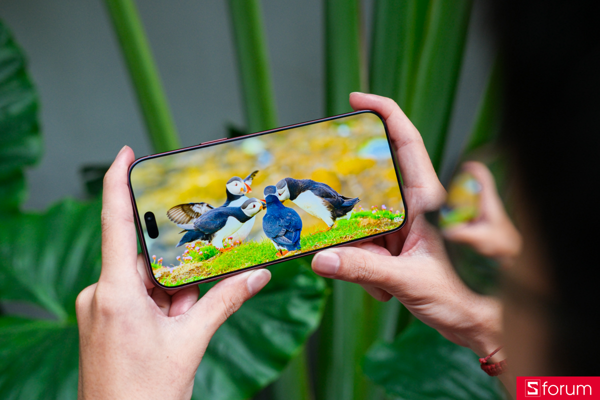 Trên tay và trải nghiệm màn hình của iPhone 18 Pro Max