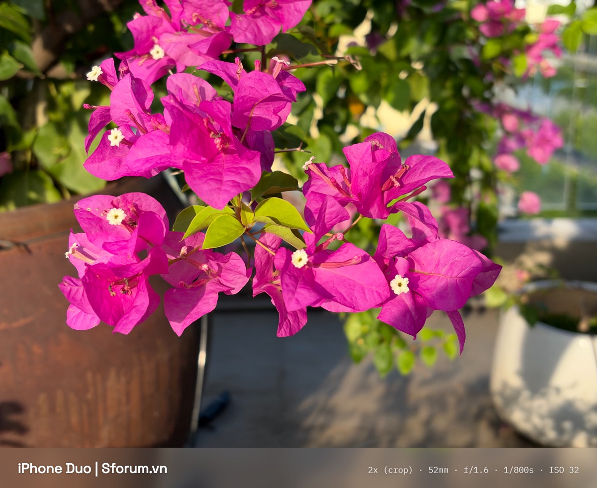 Đánh giá camera iPhone Duo trong điều kiện đủ sáng