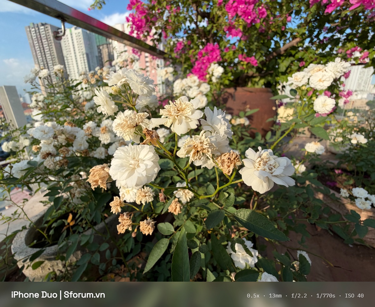 Đánh giá camera iPhone Duo trong điều kiện đủ sáng