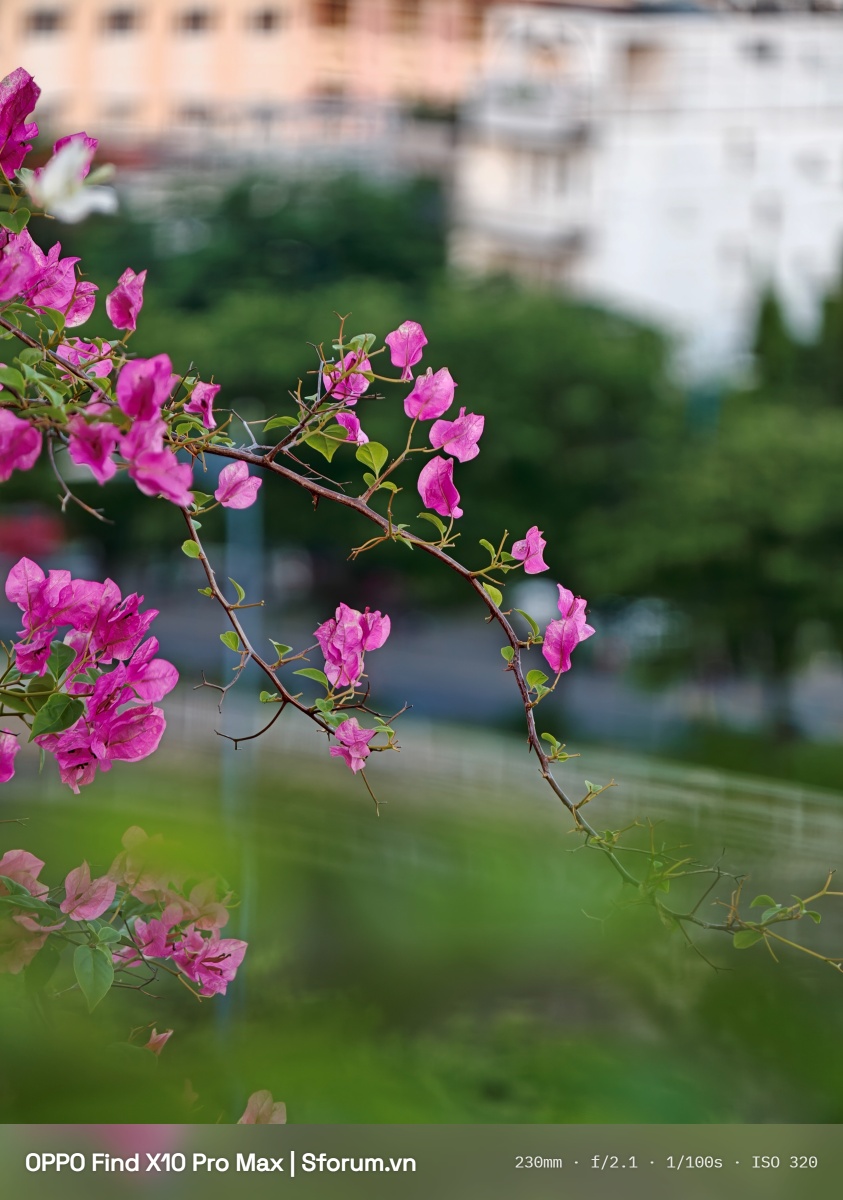 Trên tay và trải nghiệm bộ Hasselblad Teleconverter Kit
