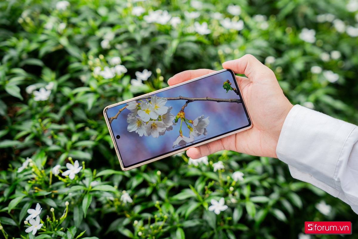 Màn hình ngoài của Honor Magic V5