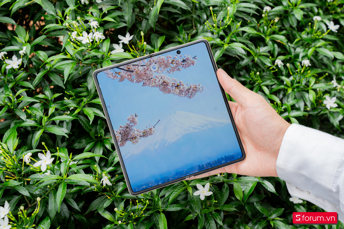 Màn hình trong của Honor Magic V5