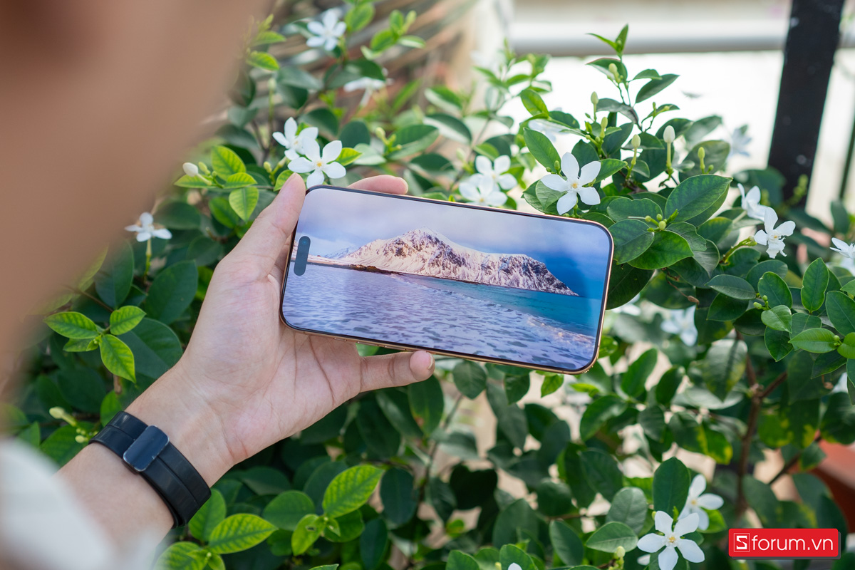 iPhone 16 Pro Max sở hữu màn hình rất đẹp