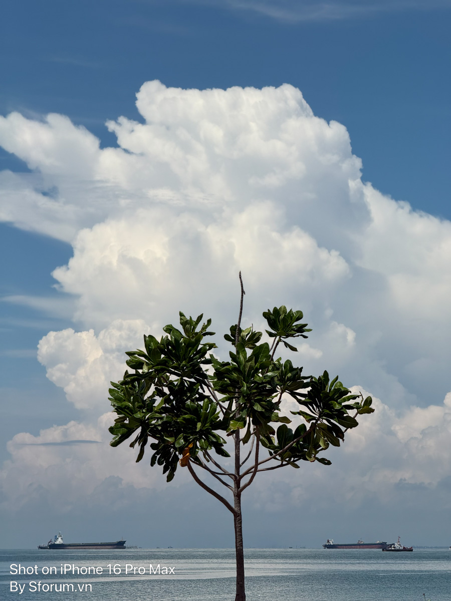 Ảnh chụp ban ngày từ iPhone 16 Pro Max