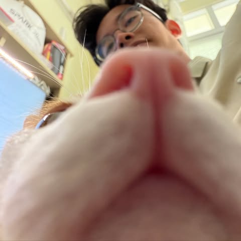 Nguyễn Thành Nam , Tác giả Sforum - Trang tin công nghệ mới nhất