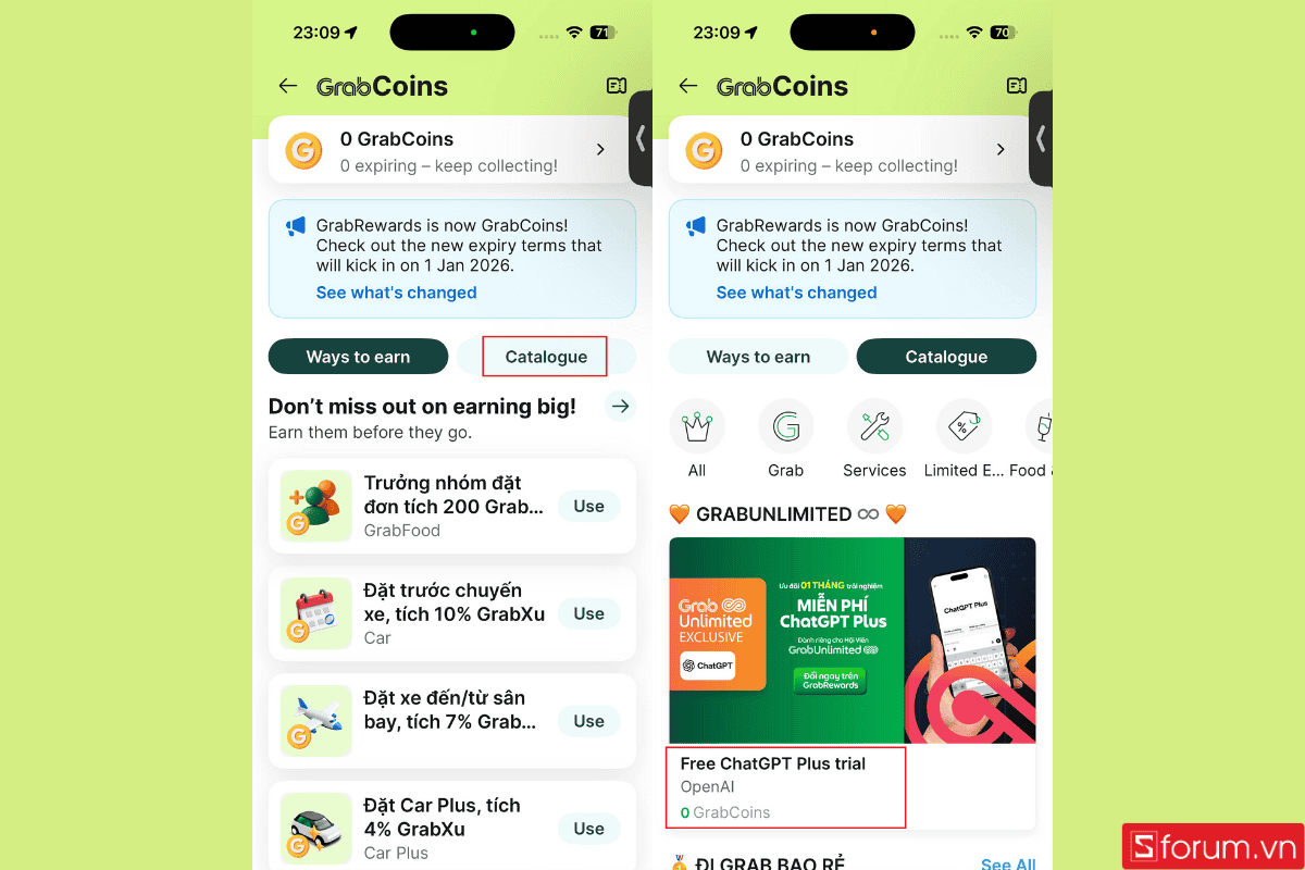 Tìm kiếm gói ChatGPT Plus miễn phí