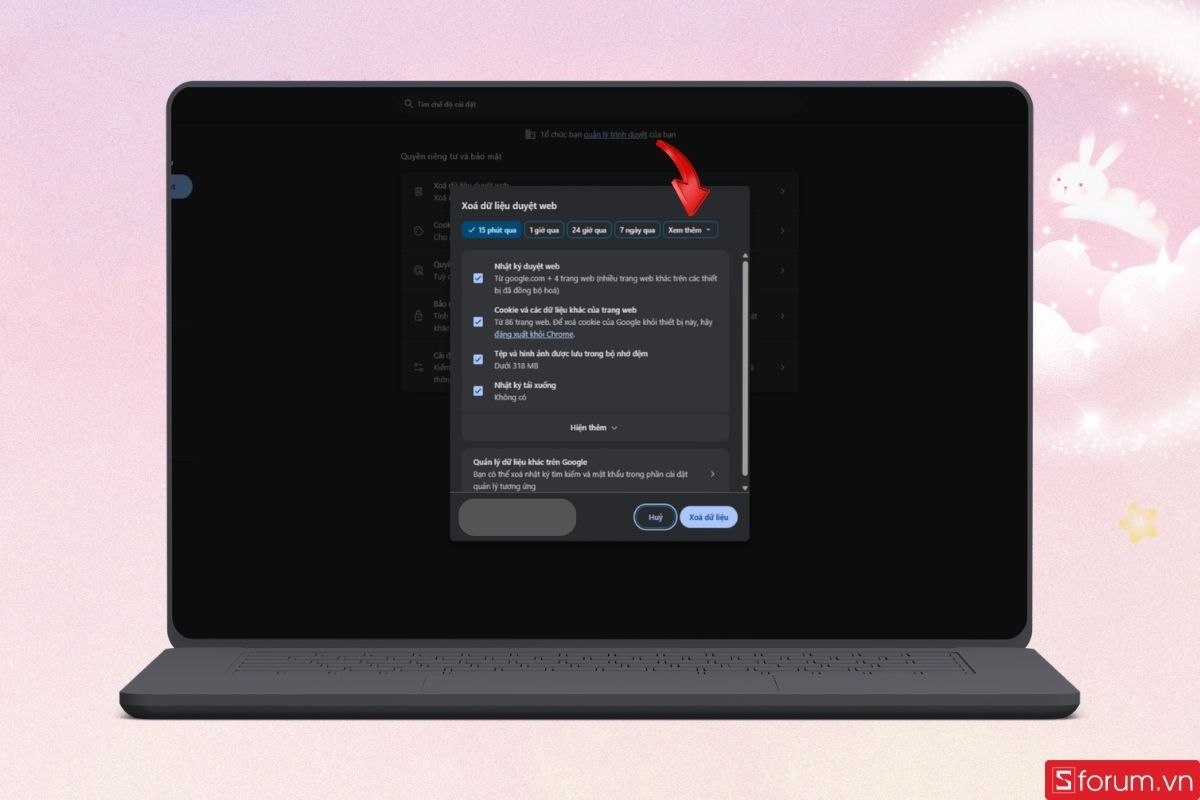 Mở cài đặt xóa dữ liệu web